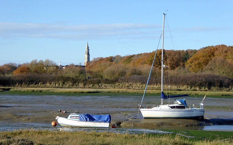 Holbrook Creek at Low Tide