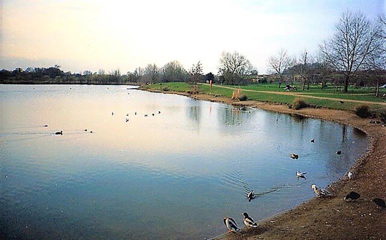 Needham Lake