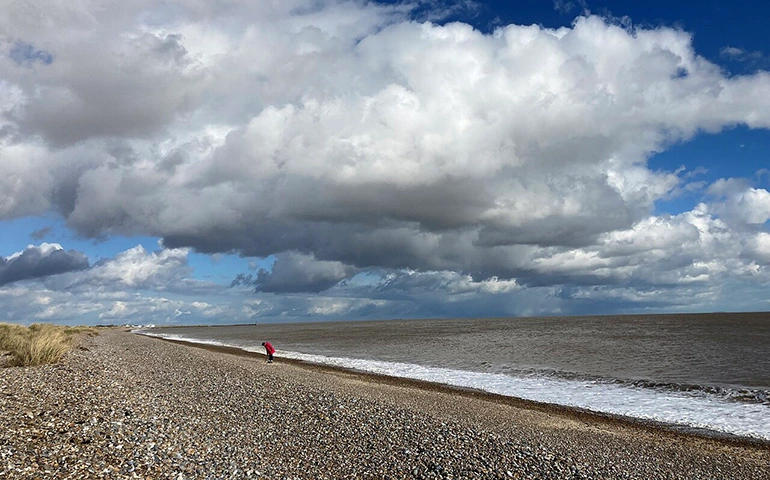 Walberswick Beach